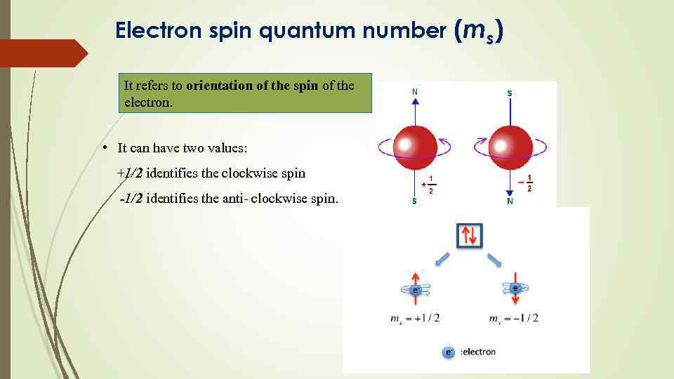 Electron spin quantum number (ms) It refers to orientation of the spin of the