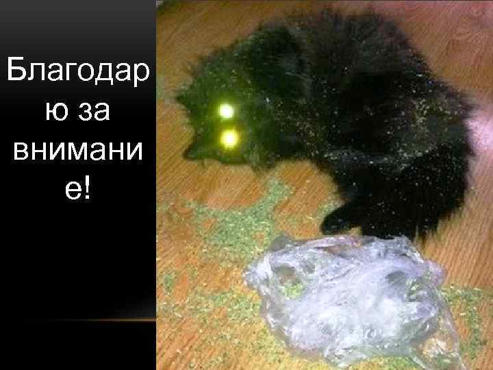 Благодар ю за внимани е! 