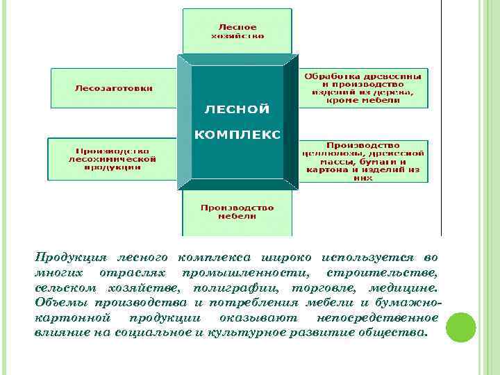 Продукция лесного комплекса широко используется во многих отраслях промышленности, строительстве, сельском хозяйстве, полиграфии, торговле,