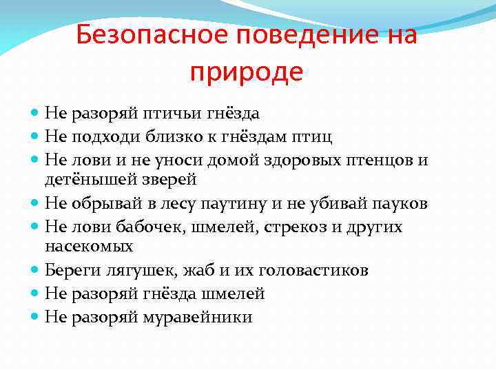 Безопасное поведение на природе Не разоряй птичьи гнёзда Не подходи близко к гнёздам птиц