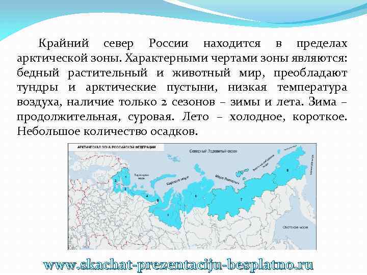 Крайний север России находится в пределах арктической зоны. Характерными чертами зоны являются: бедный растительный