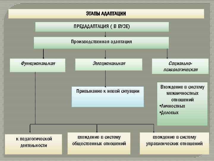 ЭТАПЫ АДАПТАЦИИ ПРЕДАДАПТАЦИЯ ( В ВУЗЕ) Производственная адаптация Функциональная Эмоциональная Привыкание к новой ситуации