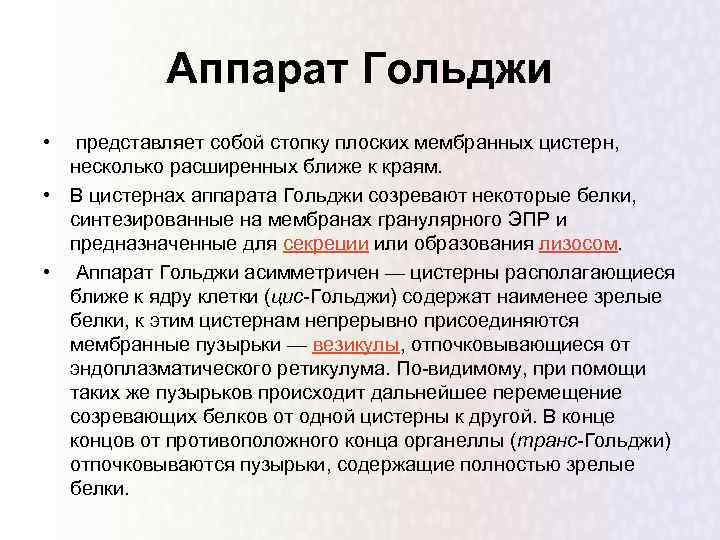 Аппарат Гольджи • представляет собой стопку плоских мембранных цистерн, несколько расширенных ближе к краям.