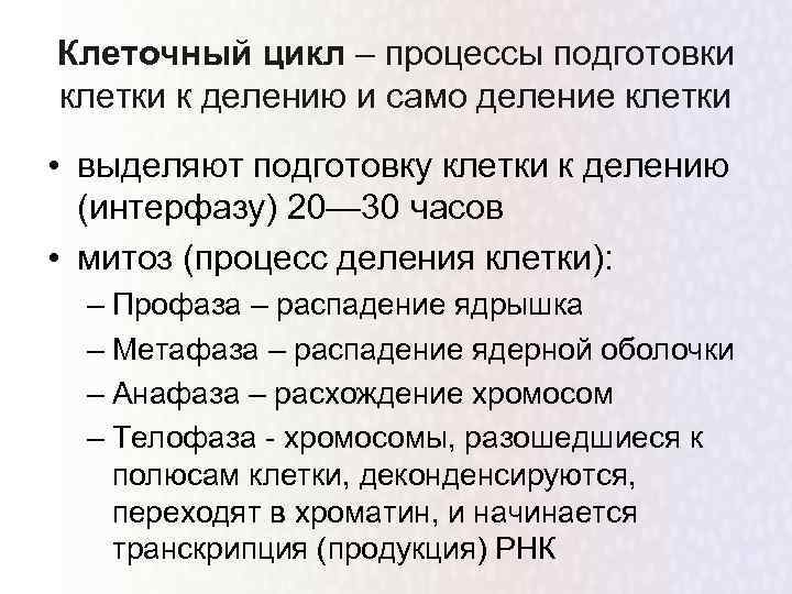 Клеточный цикл – процессы подготовки клетки к делению и само деление клетки • выделяют