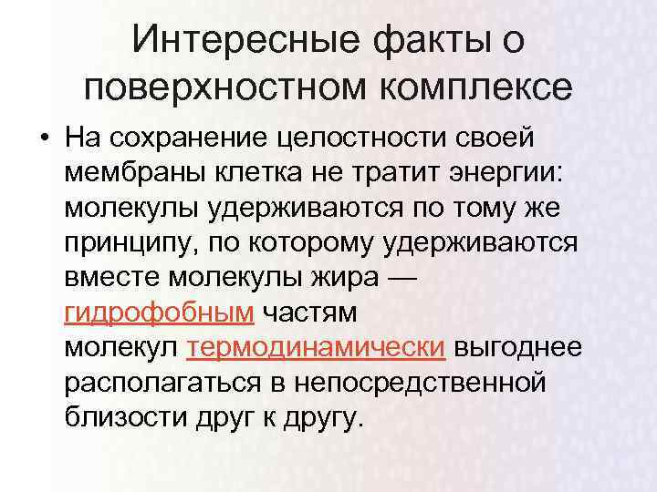 Интересные факты о поверхностном комплексе • На сохранение целостности своей мембраны клетка не тратит