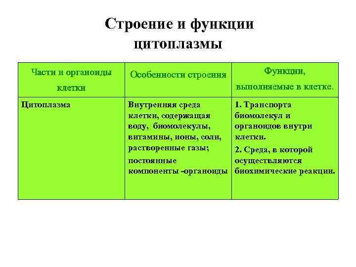  Строение и функции цитоплазмы Части и органоиды Особенности строения выполняемые в клетке. клетки