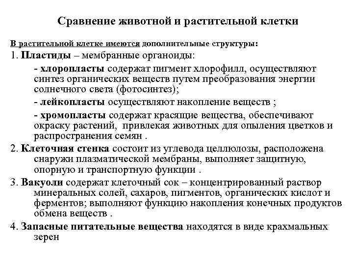 Сравнение животной и растительной клетки В растительной клетке имеются дополнительные структуры: 1. Пластиды –