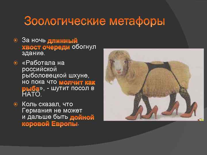  За ночь обогнул здание. «Работала на российской рыболовецкой шхуне, но пока что »