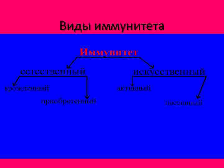 Виды иммунитета 