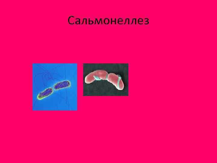 Сальмонеллез 