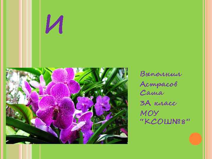 И Выполнил Астрасов Саша 3 А класс МОУ “КСОШ№ 8” 
