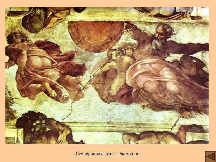 Сотворение светил и растений 