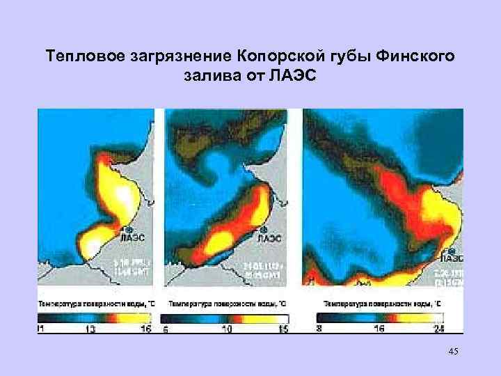 Тепловое загрязнение Копорской губы Финского залива от ЛАЭС 45 