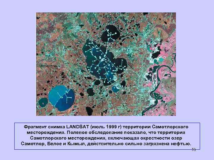 Фрагмент снимка LANDSAT (июль 1999 г) территории Самотлорского месторождения. Полевое обследование показало, что территория