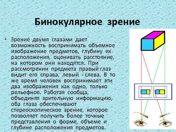 Бинокулярное зрение презентация