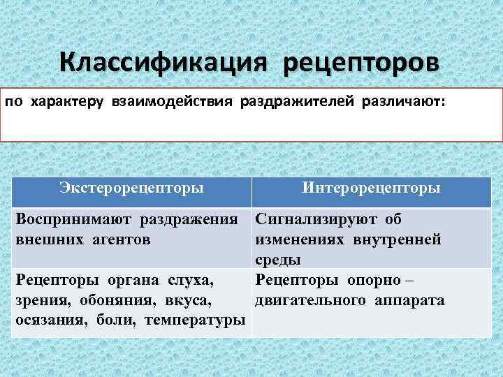 Классификация рецепторов по характеру взаимодействия раздражителей различают: Экстерорецепторы Интерорецепторы Воспринимают раздражения Сигнализируют об внешних