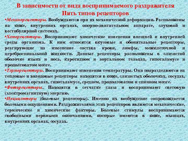 В зависимости от вида воспринимаемого раздражителя Пять типов рецепторов • Механорецепторы. Возбуждаются при их