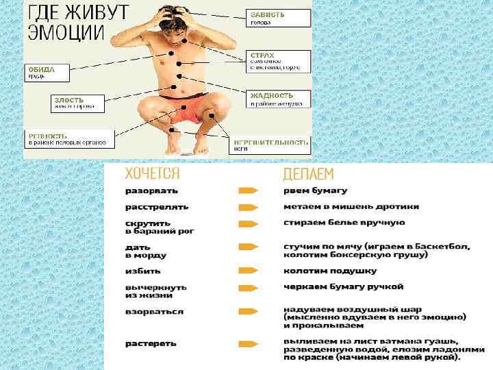 Где живут эмоции в теле человека картинки