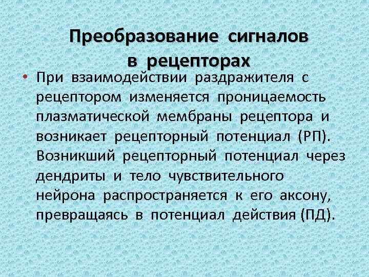 Преобразование сигналов в рецепторах • При взаимодействии раздражителя с рецептором изменяется проницаемость плазматической мембраны