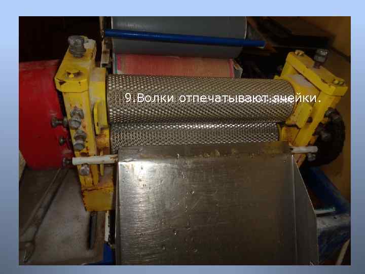 9. Волки отпечатывают ячейки. 