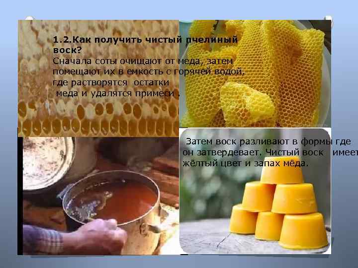 1. 2. Как получить чистый пчелиный воск? Сначала соты очищают от меда, затем помещают