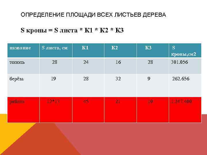 ОПРЕДЕЛЕНИЕ ПЛОЩАДИ ВСЕХ ЛИСТЬЕВ ДЕРЕВА S кроны = S листа * К 1 *