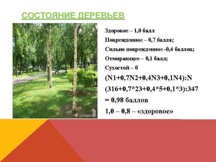 СОСТОЯНИЕ ДЕРЕВЬЕВ Здоровое – 1, 0 балл Поврежденное – 0, 7 балла; Сильно поврежденное