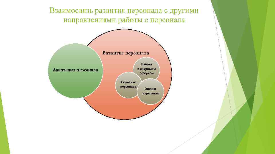 Взаимосвязь развития персонала с другими направлениями работы с персонала Развитие персонала Работа с кадровым