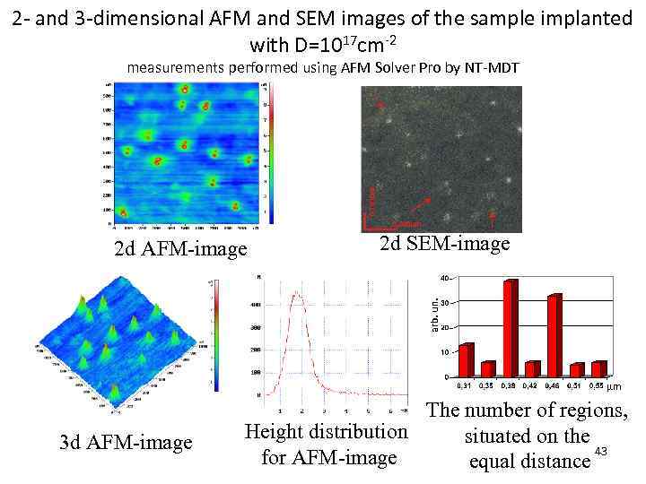 2 - and 3 -dimensional AFM and SEM images of the sample implanted with