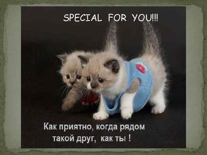 SPECIAL FOR YOU!!! 