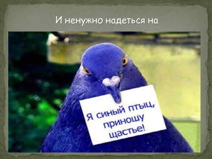 И ненужно надеться на 