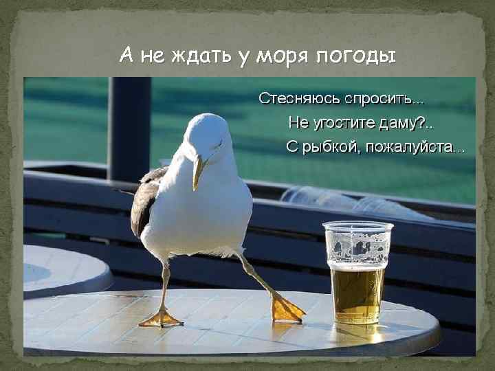 А не ждать у моря погоды 