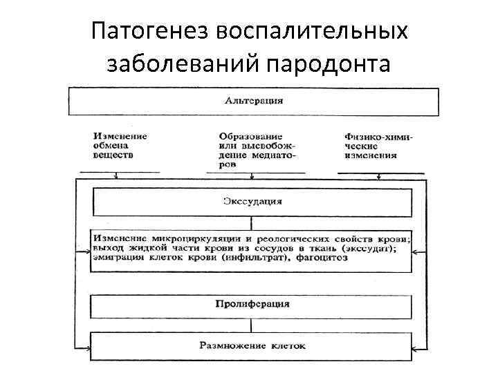 Этиология и патогенез заболеваний пародонта презентация