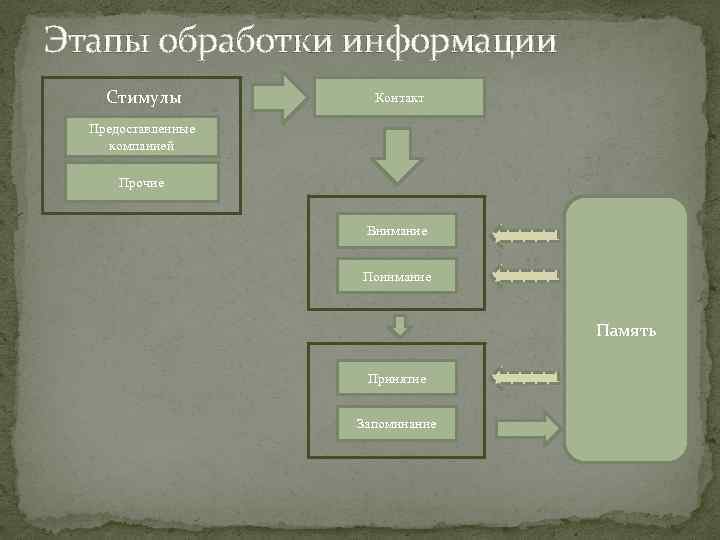 Этапы обработки информации Стимулы Контакт Предоставленные компанией Прочие Внимание Понимание Память Принятие Запоминание 