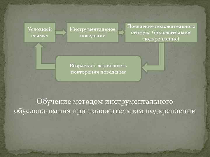 Условный стимул Инструментальное поведение Появление положительного стимула (положительное подкрепление) Возрастает вероятность повторения поведения Обучение