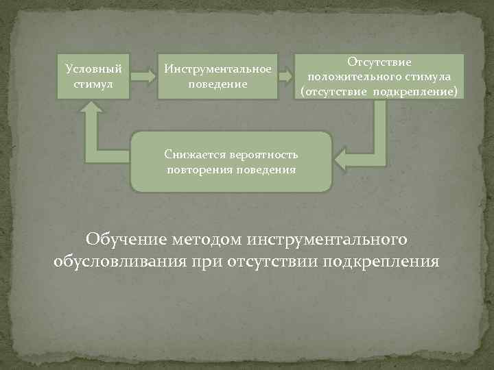 Возникновение поведения. Условный стимул. Методики подкрепления позитивного поведения. Условный стимул пример. Инструментальное поведение.