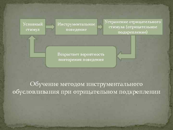 Условный стимул Инструментальное поведение Устранение отрицательного стимула (отрицательное подкрепление) Возрастает вероятность повторения поведения Обучение