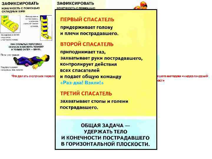 Что делать в случаях переломов костей конечностей. Правила переноски пострадавшего методом «нидерландский мост» Переломы