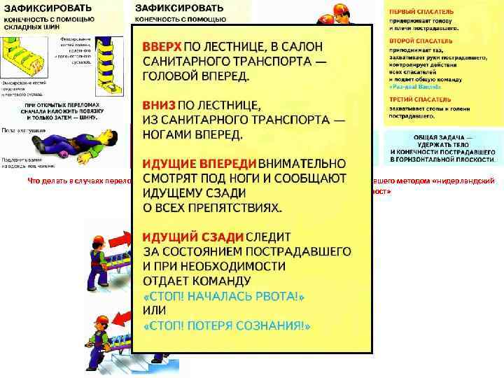 Что делать в случаях переломов костей конечностей. Правила переноски пострадавшего методом «нидерландский мост» Переломы