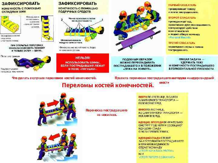 Что делать в случаях переломов костей конечностей. Правила переноски пострадавшего методом «нидерландский мост» Переломы