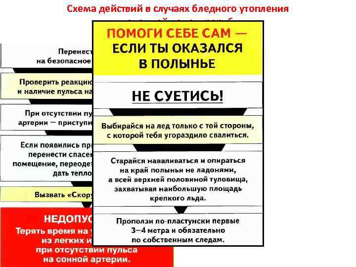 Схема действий в случаях бледного утопления в холодной воде, проруби. 