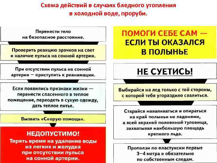 Схема действий в случаях бледного утопления в холодной воде, проруби. 