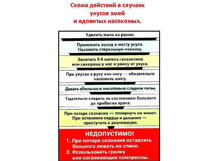 Схема действий в случаях укусов змей и ядовитых насекомых. 