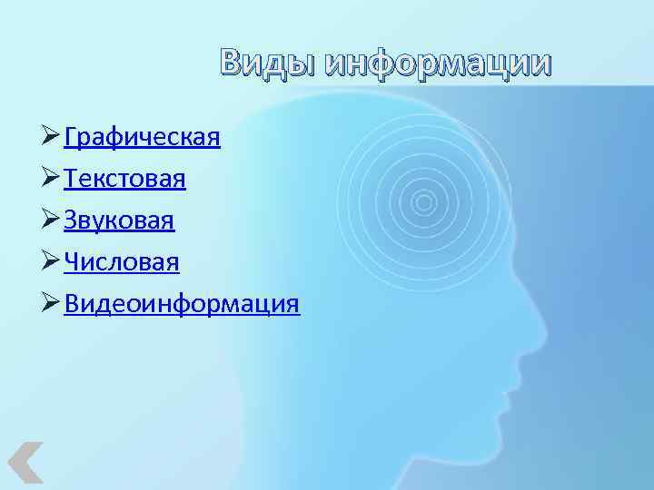 Виды информации Ø Графическая Ø Текстовая Ø Звуковая Ø Числовая Ø Видеоинформация 