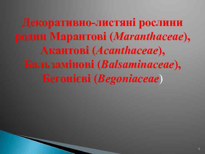 Декоративно-листяні рослини родин Марантові (Maranthaceae), Акантові (Acanthaceae), Бальзамінові (Balsaminaceae), Бегонієві (Begoniaceae) 1 