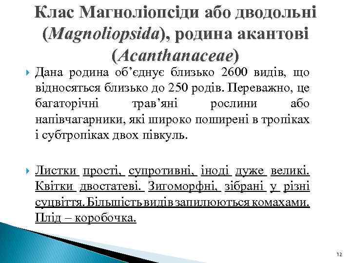 Клас Магноліопсіди або дводольні (Magnoliopsida), родина акантові (Acanthanaceae) Дана родина об’єднує близько 2600 видів,