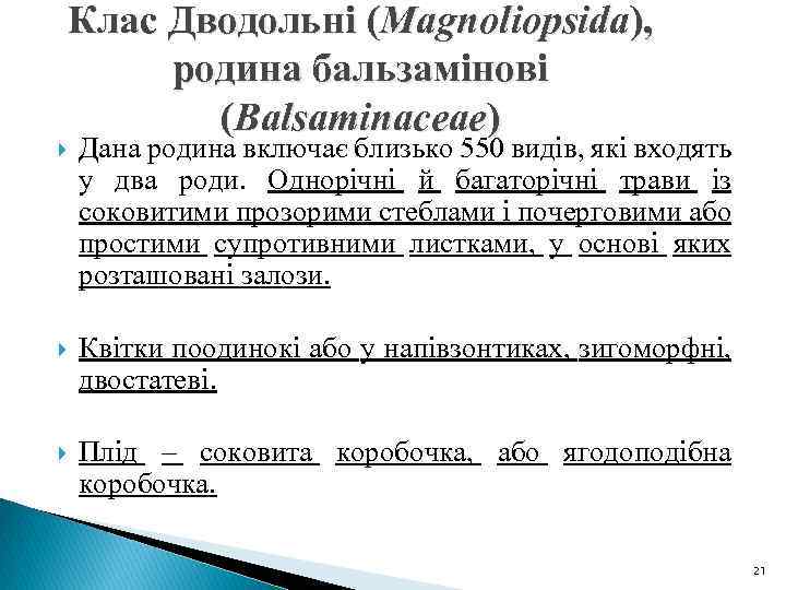  Клас Дводольні (Magnoliopsida), родина бальзамінові (Balsaminaceae) Дана родина включає близько 550 видів, які