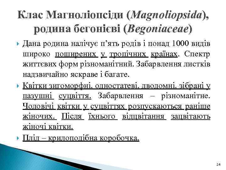 Клас Магноліопсіди (Magnoliopsida), родина бегонієві (Begoniaceae) Дана родина налічує п’ять родів і понад 1000