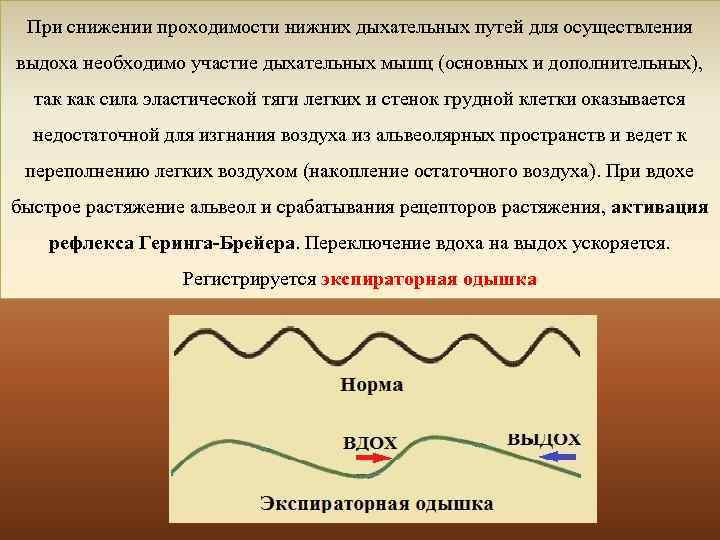 При снижении проходимости нижних дыхательных путей для осуществления выдоха необходимо участие дыхательных мышц (основных