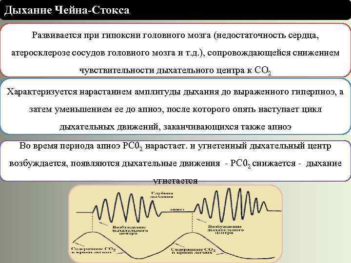 Дыхание чейна стокса схема